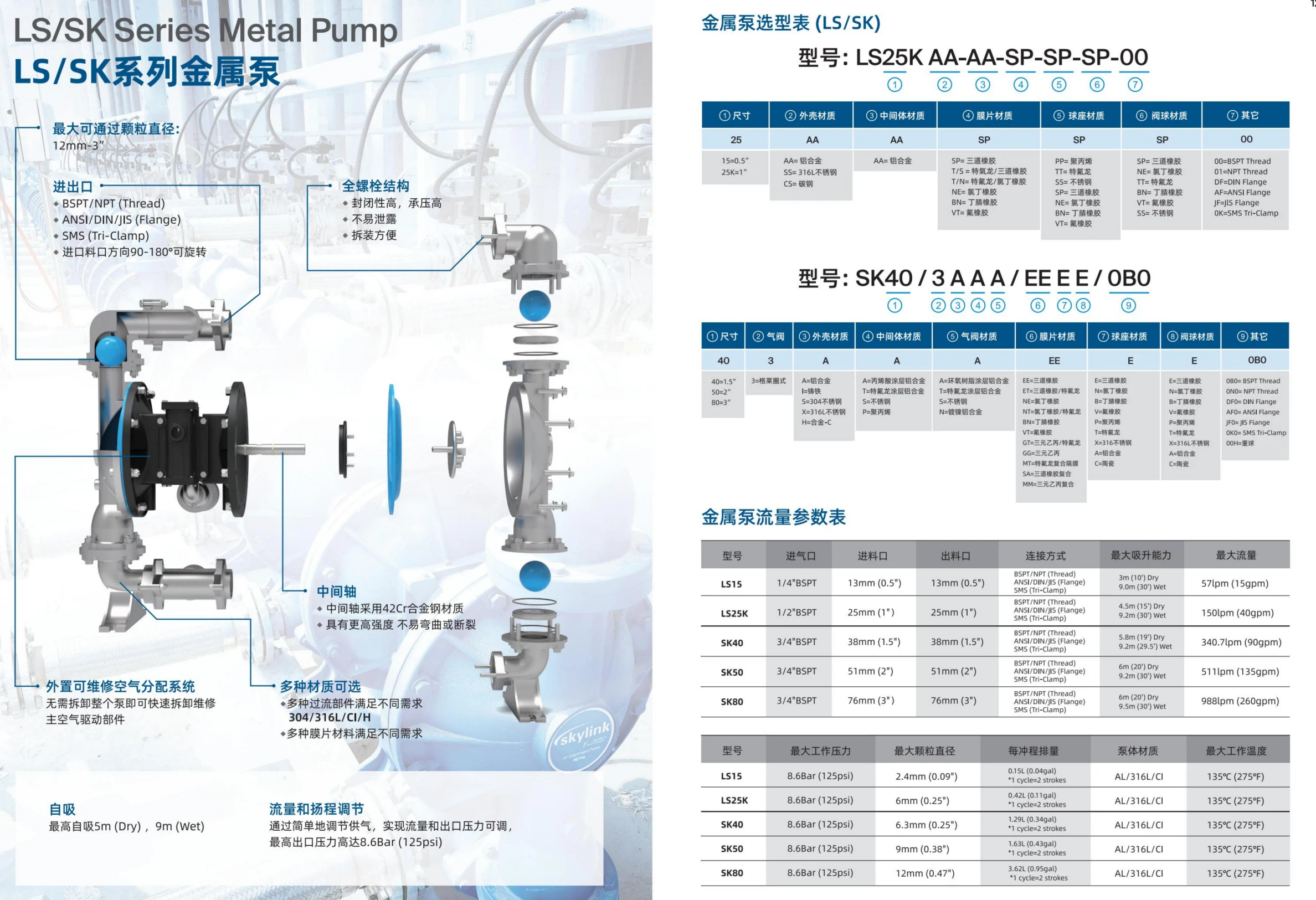 SKYLINK 金属泵型号意义(1).png